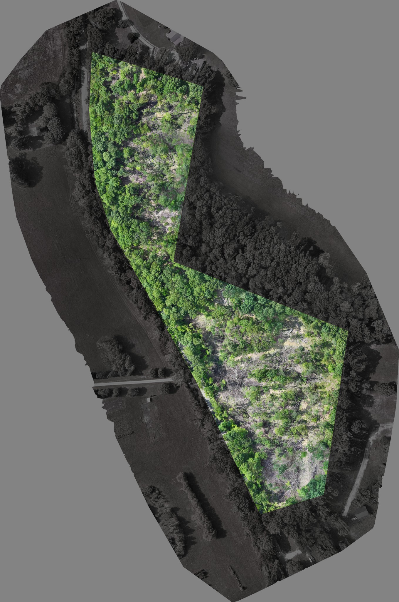 0 Rock Bridge Road Bethpage, TN 37022 - Photo 18 of 18 a view of a garden with a pathway