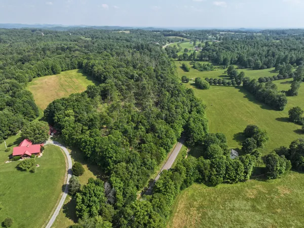 an aerial view of a house with a yard and lake view