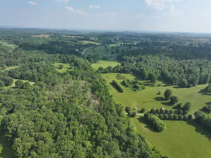 an aerial view of green landscape with trees houses and mountain view