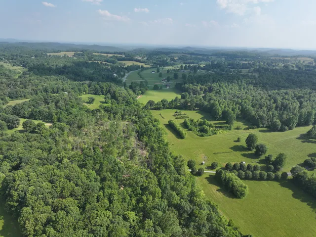 an aerial view of green landscape with trees houses and mountain view