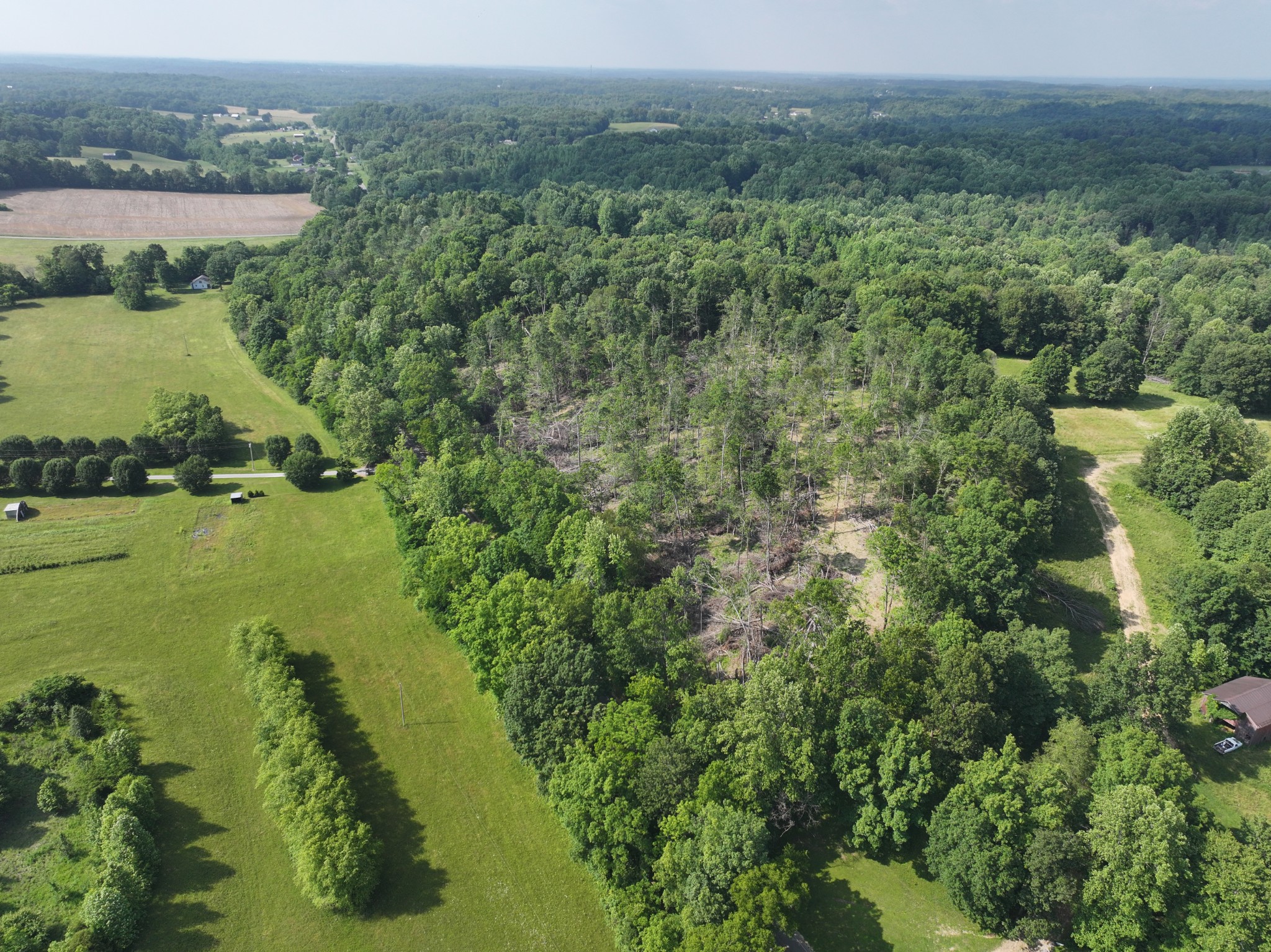 0 Rock Bridge Road Bethpage, TN 37022 - Photo 5 of 18 a view of lake with green space