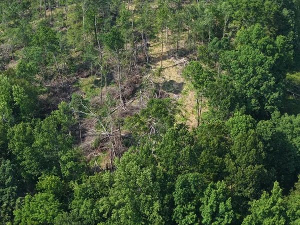 an aerial view of residential house with outdoor space and trees all around