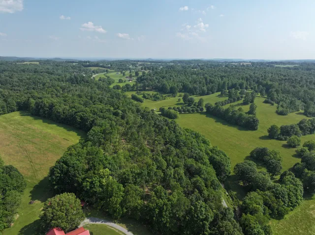 a view of a lake with a city