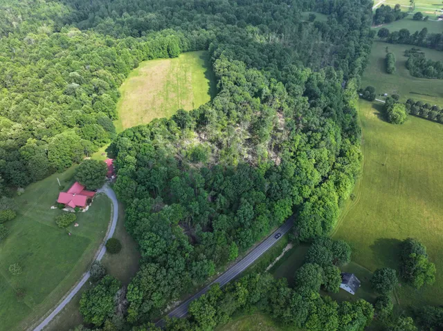 a backyard of a house with lots of green space and plants