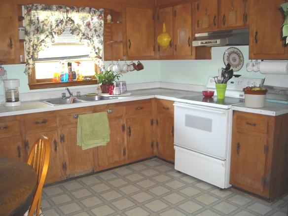 1164 Irving Road Thaxton, VA 24174 - Photo 3 of 7 a kitchen with a sink stove and cabinets