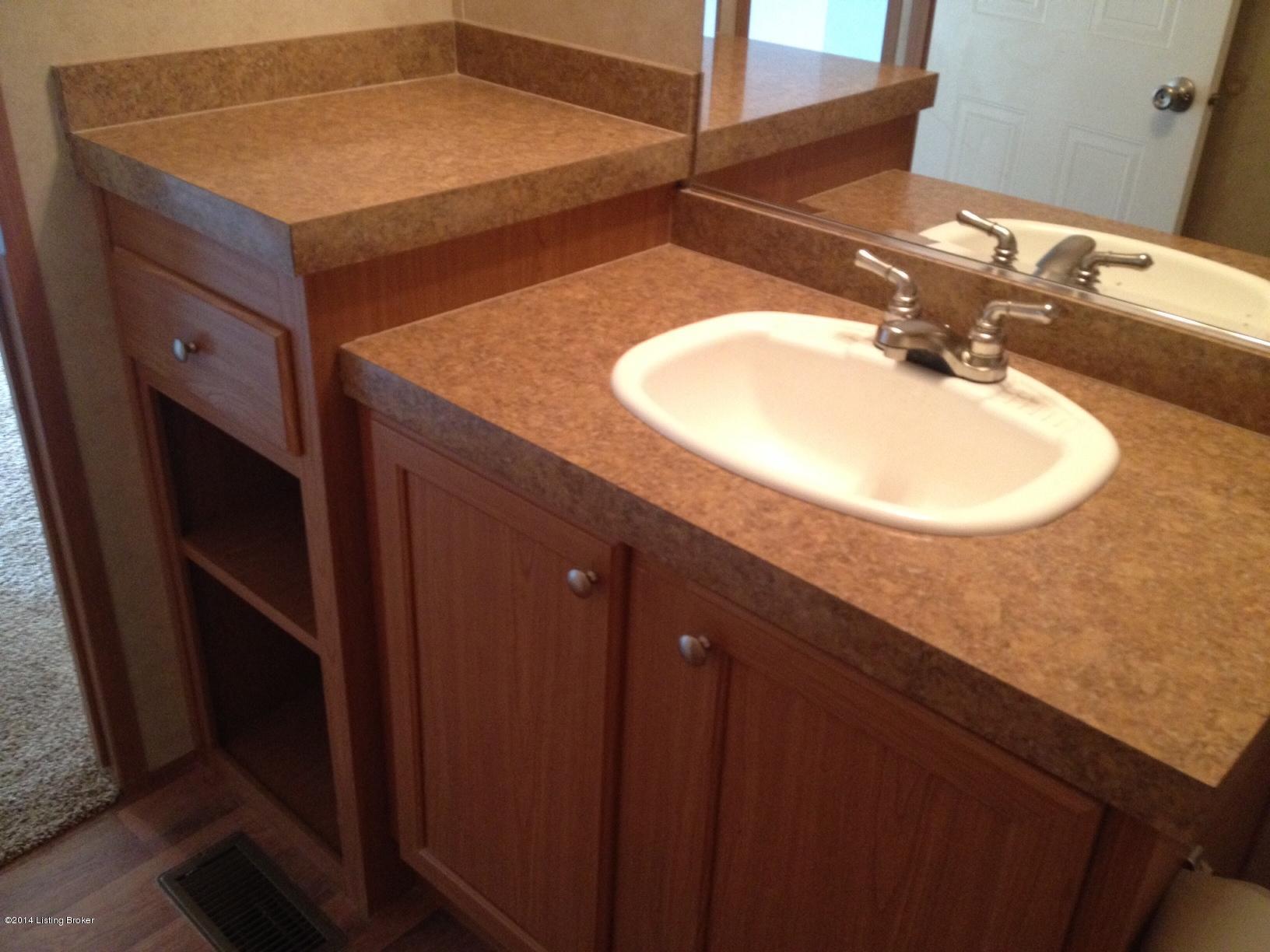 4470 Rabbit Flat Road Caneyville, KY 42721 - Photo 8 of 18 Hall bath vanity