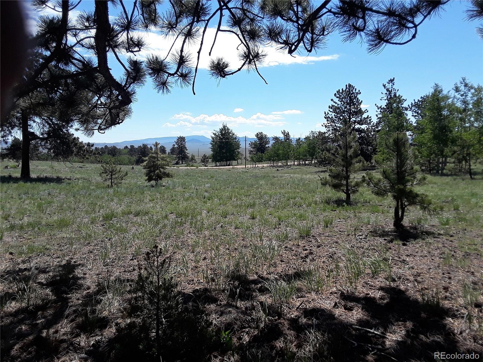 10832 Ranch Road Hartsel, CO 80449 - Photo 2 of 11 a view of a yard