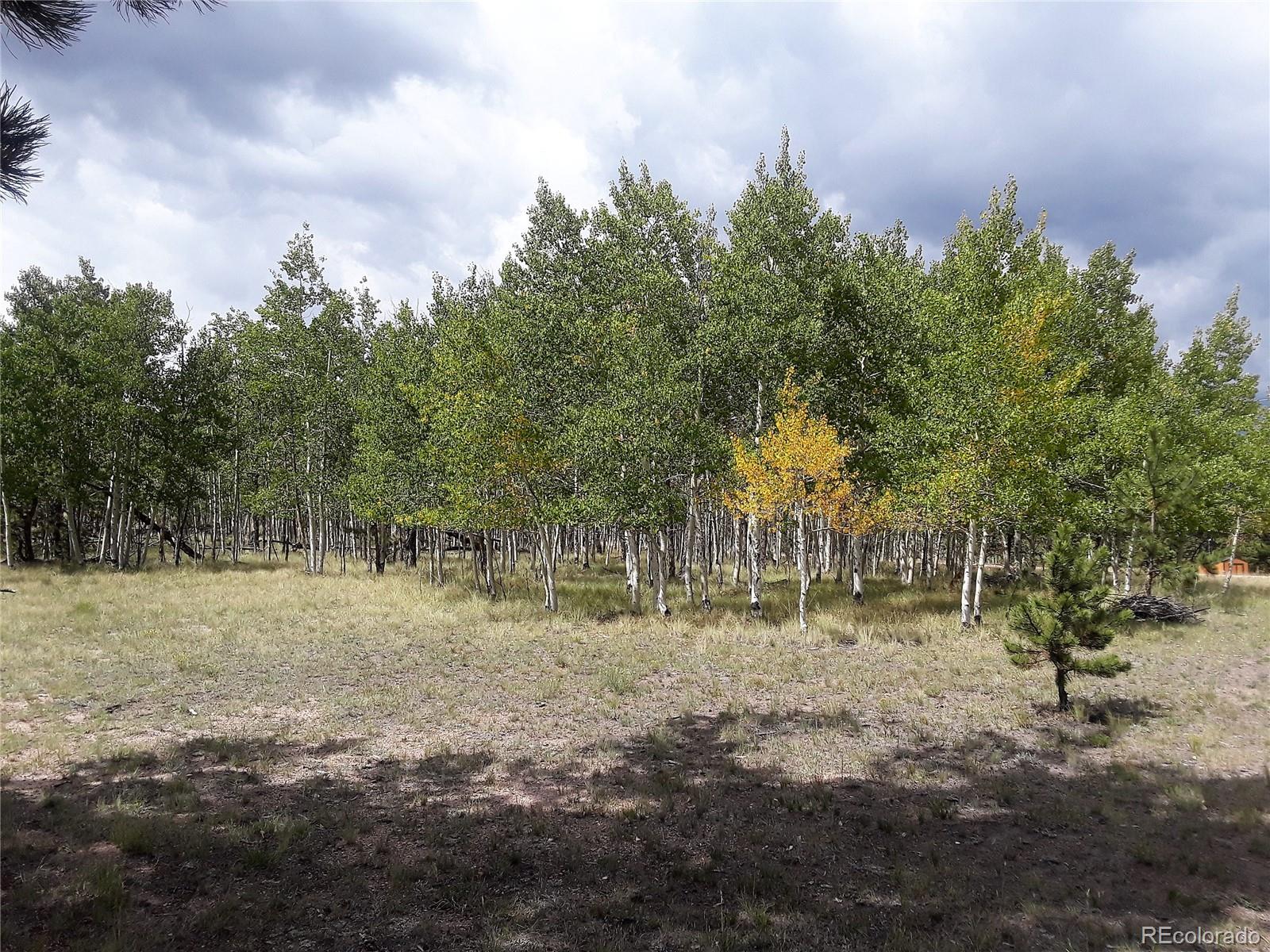 10832 Ranch Road Hartsel, CO 80449 - Photo 3 of 11 a view of dirt field with trees in the background