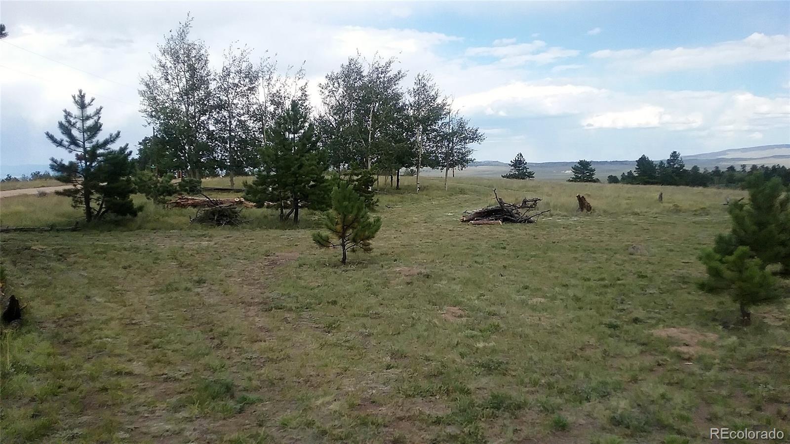 10832 Ranch Road Hartsel, CO 80449 - Photo 6 of 11 a view of a lake with a tree