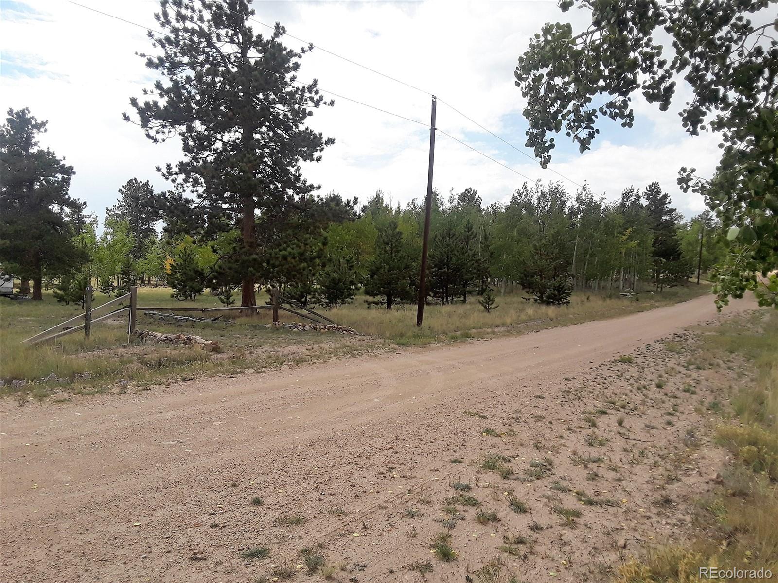 10832 Ranch Road Hartsel, CO 80449 - Photo 7 of 11 a view of a forest with trees