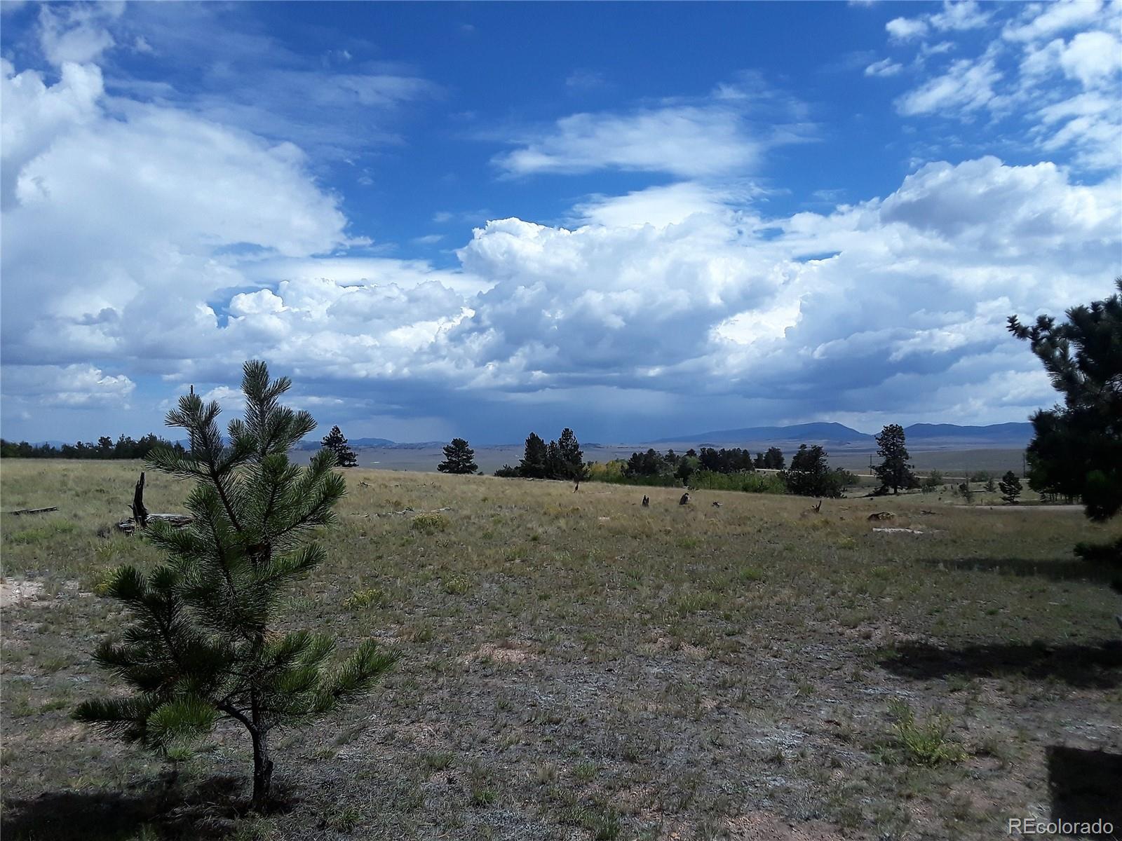 10832 Ranch Road Hartsel, CO 80449 - Photo 8 of 11 a view of a dry yard with wooden fence