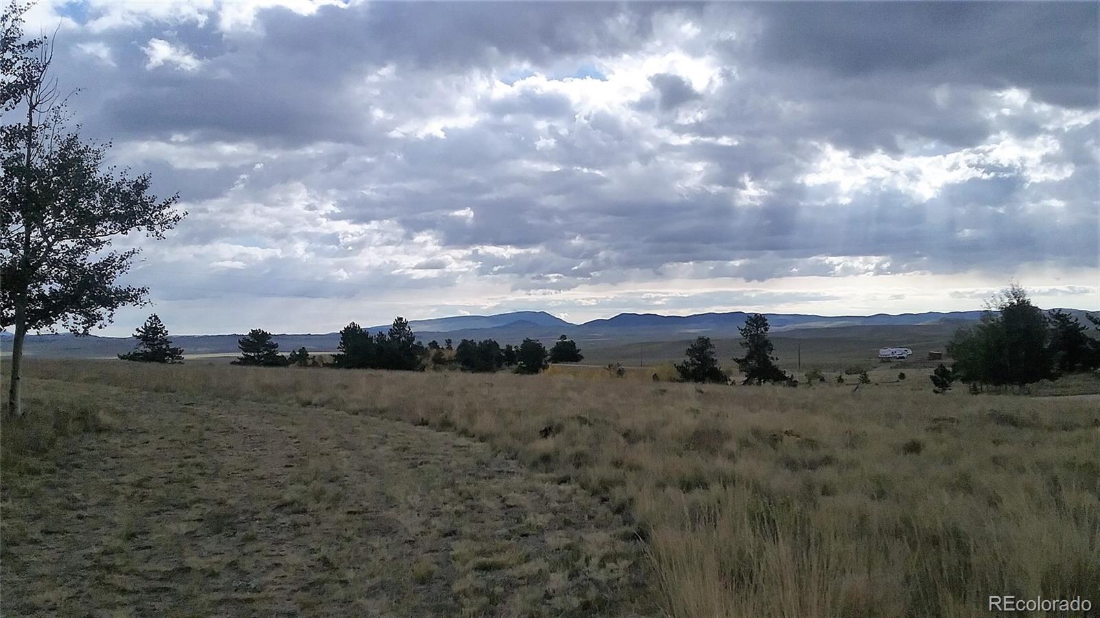 10832 Ranch Road Hartsel, CO 80449 - Photo 10 of 11 a view of a dry yard with trees