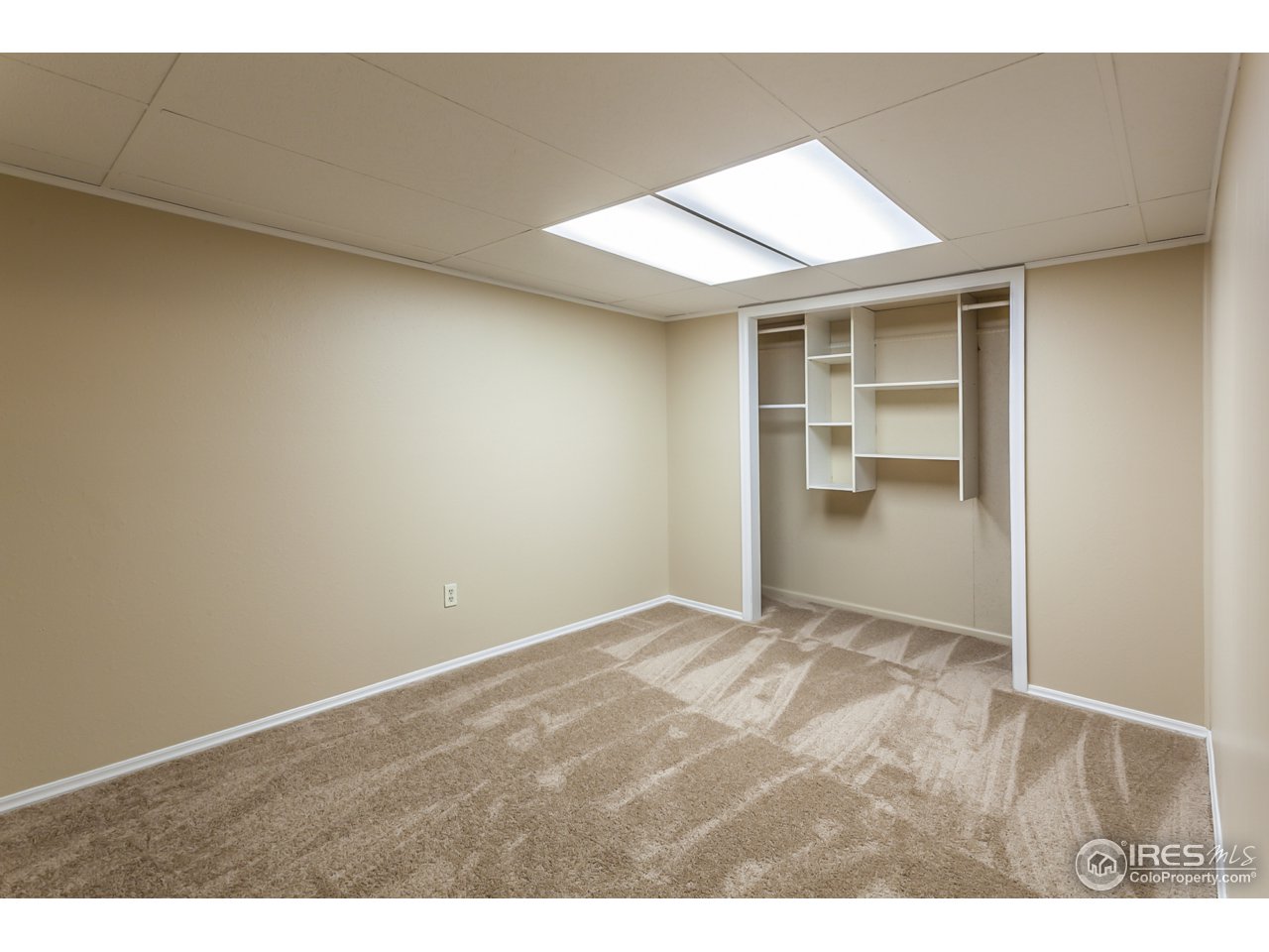 4119 Snow Ridge Circle Fort Collins, CO 80526 - Photo 18 of 28 Basement 3rd bedroom