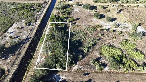 a view of a garden