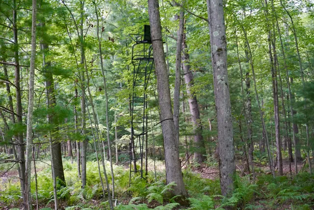 $145,000 | 3077 South Tyndall Road, Branch, MI 49402