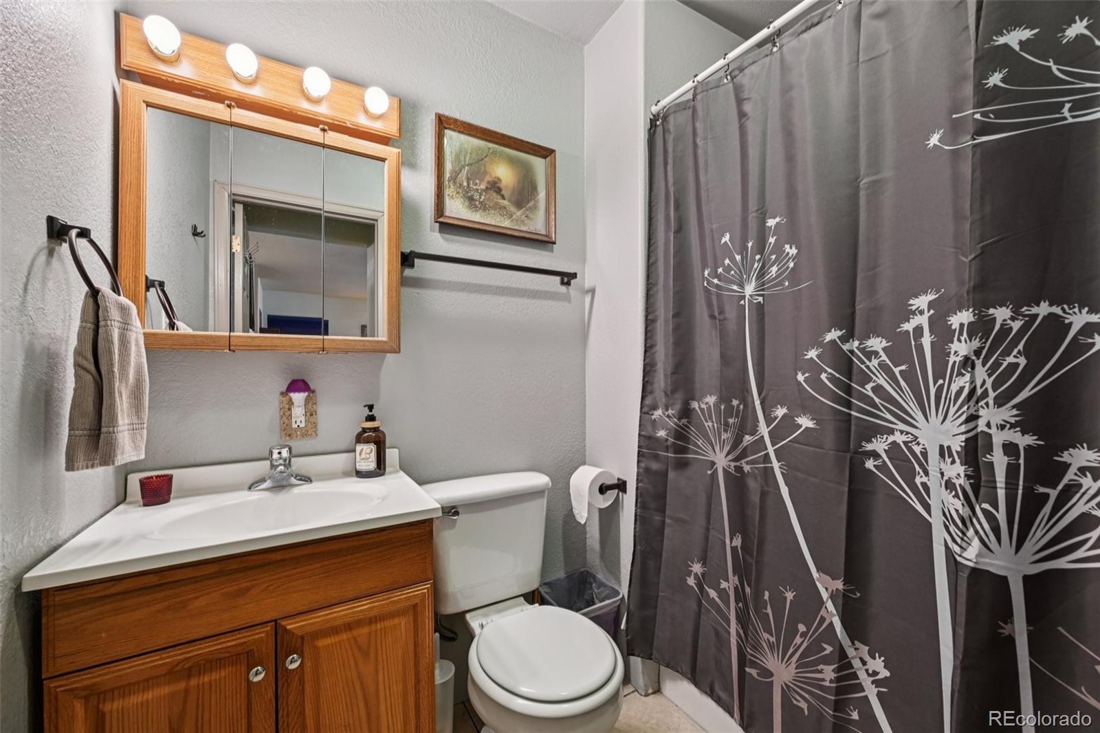 206 Pinon Circle Black Hawk, CO 80422 - Photo 17 of 50 a bathroom with a sink a toilet and mirror