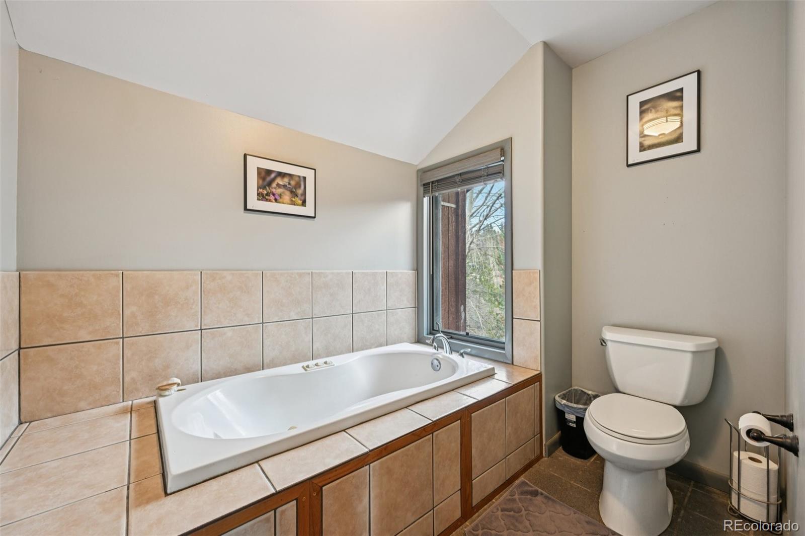 206 Pinon Circle Black Hawk, CO 80422 - Photo 35 of 50 a bathroom with a sink a toilet and a shower