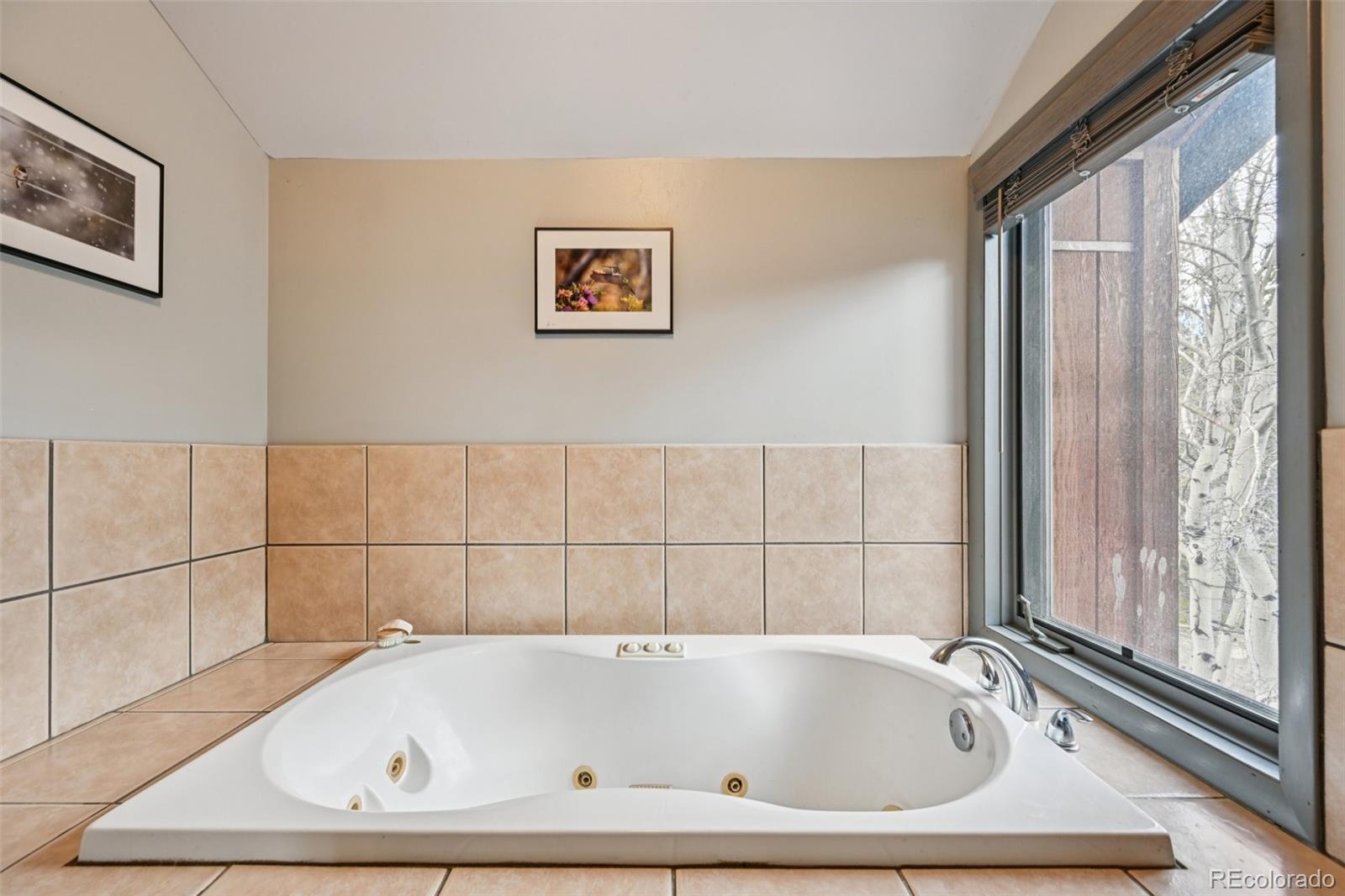 206 Pinon Circle Black Hawk, CO 80422 - Photo 36 of 50 a bathroom with a bathtub