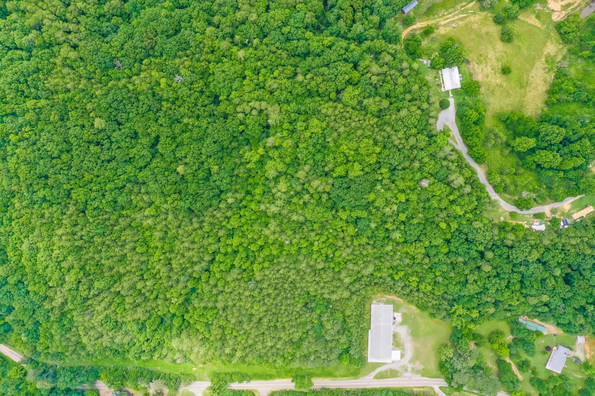 0 Reliance Road Tellico Plains, TN 37385 - Photo 8 of 15 Gallery Image 8