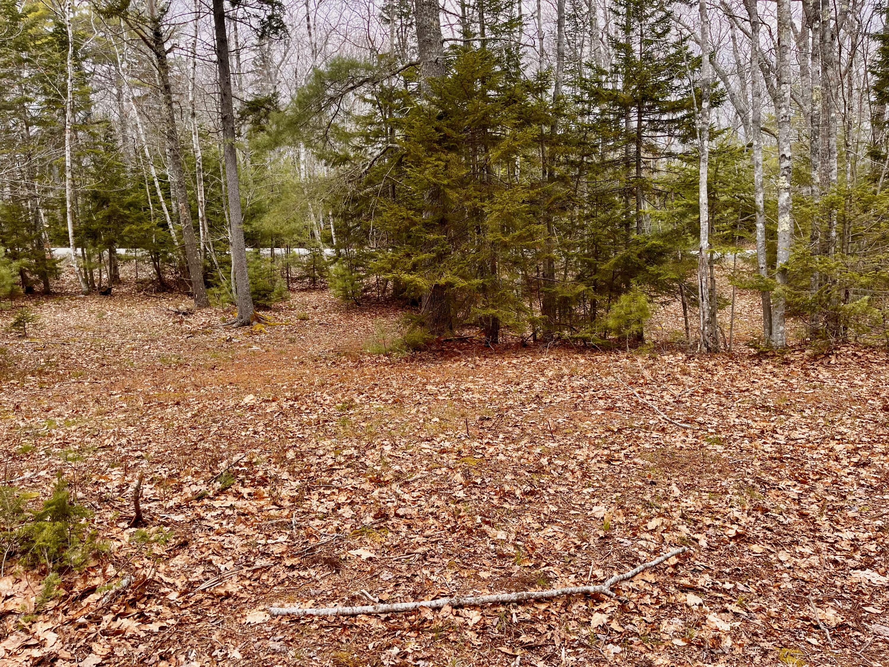 92 L Russel Road Chamberlain, ME 04541 - Photo 12 of 21
