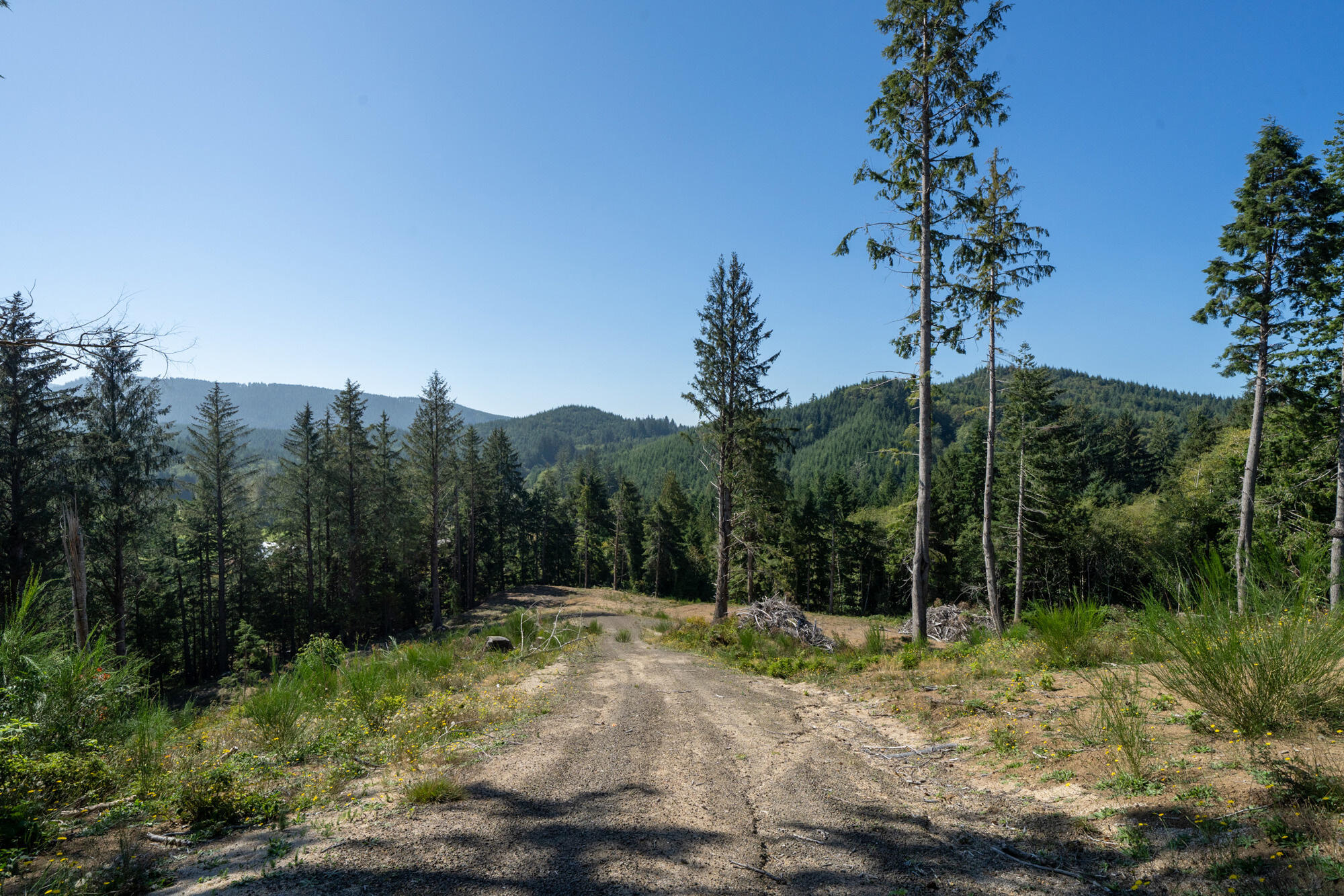 1207 Sandlake Road Cloverdale, OR 97112 - Photo 18 of 33 Road