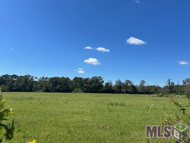 2 Old Highway Amite, LA 70422 - Photo 2 of 13