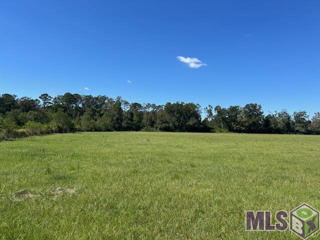 2 Old Highway Amite, LA 70422 - Photo 5 of 13