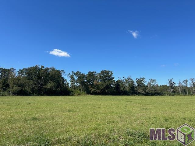 2 Old Highway Amite, LA 70422 - Photo 8 of 13