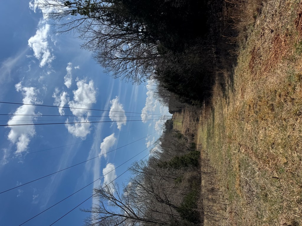 22 Stone Gate Farm Road Donalds, SC 29638 - Photo 8 of 26