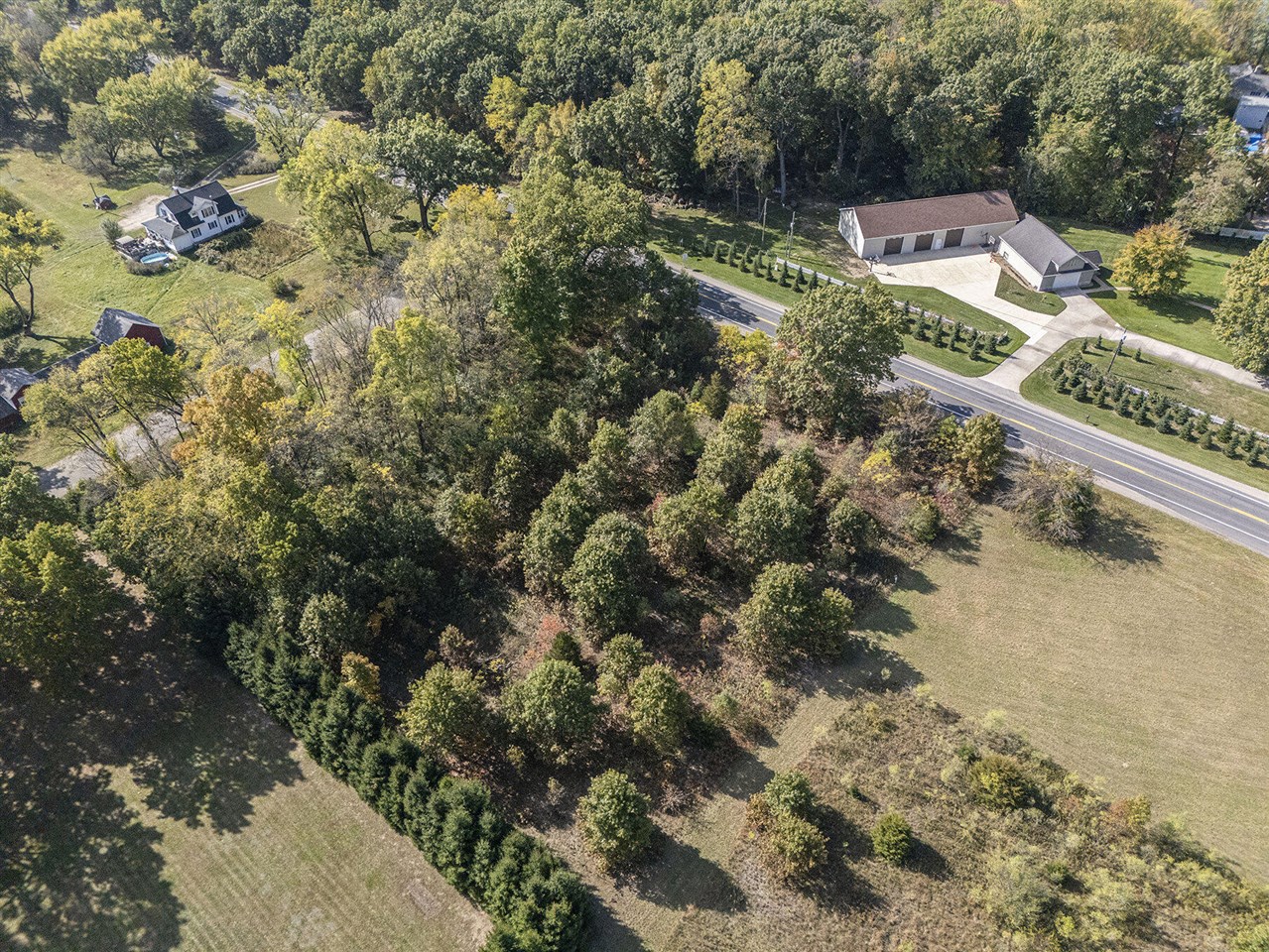Three Mahnke Road Mendon, MI 49072 - Photo 3 of 9