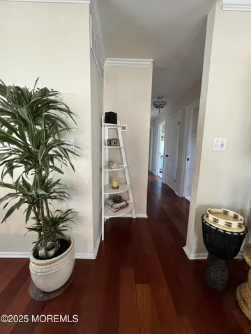 a view of a hallway with wooden floor and a potted plant