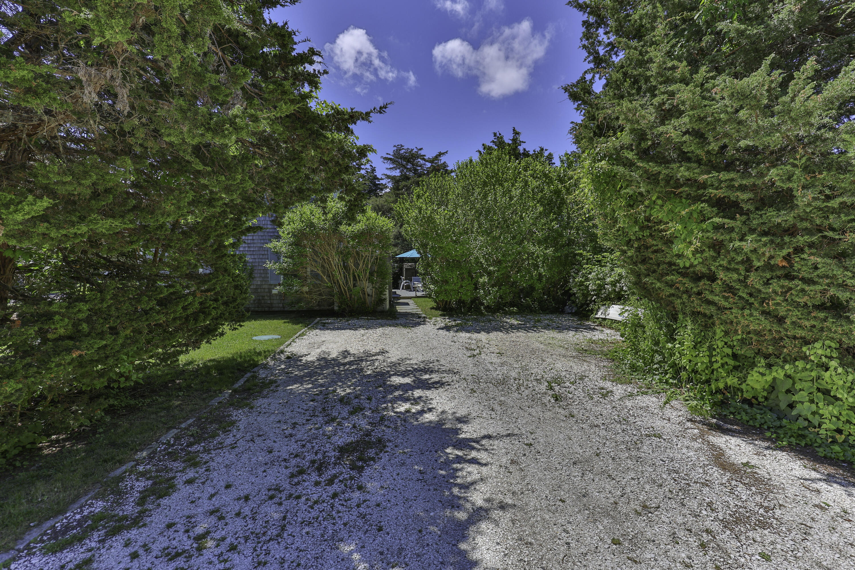 15 Doane Way Orleans, MA 02653 - Photo 34 of 54 a view of a yard with plants and a trees