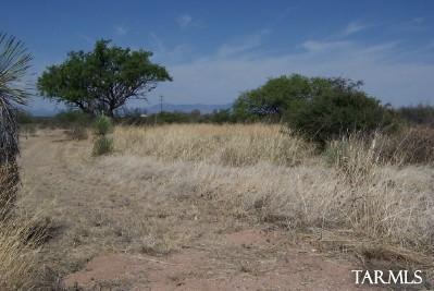 234 West Reed Road Tombstone, AZ 85638 - Photo 5 of 8