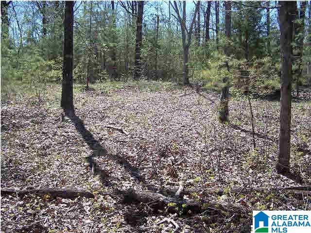 0 Homestead Lane Remlap, AL 35133 - Photo 12 of 23