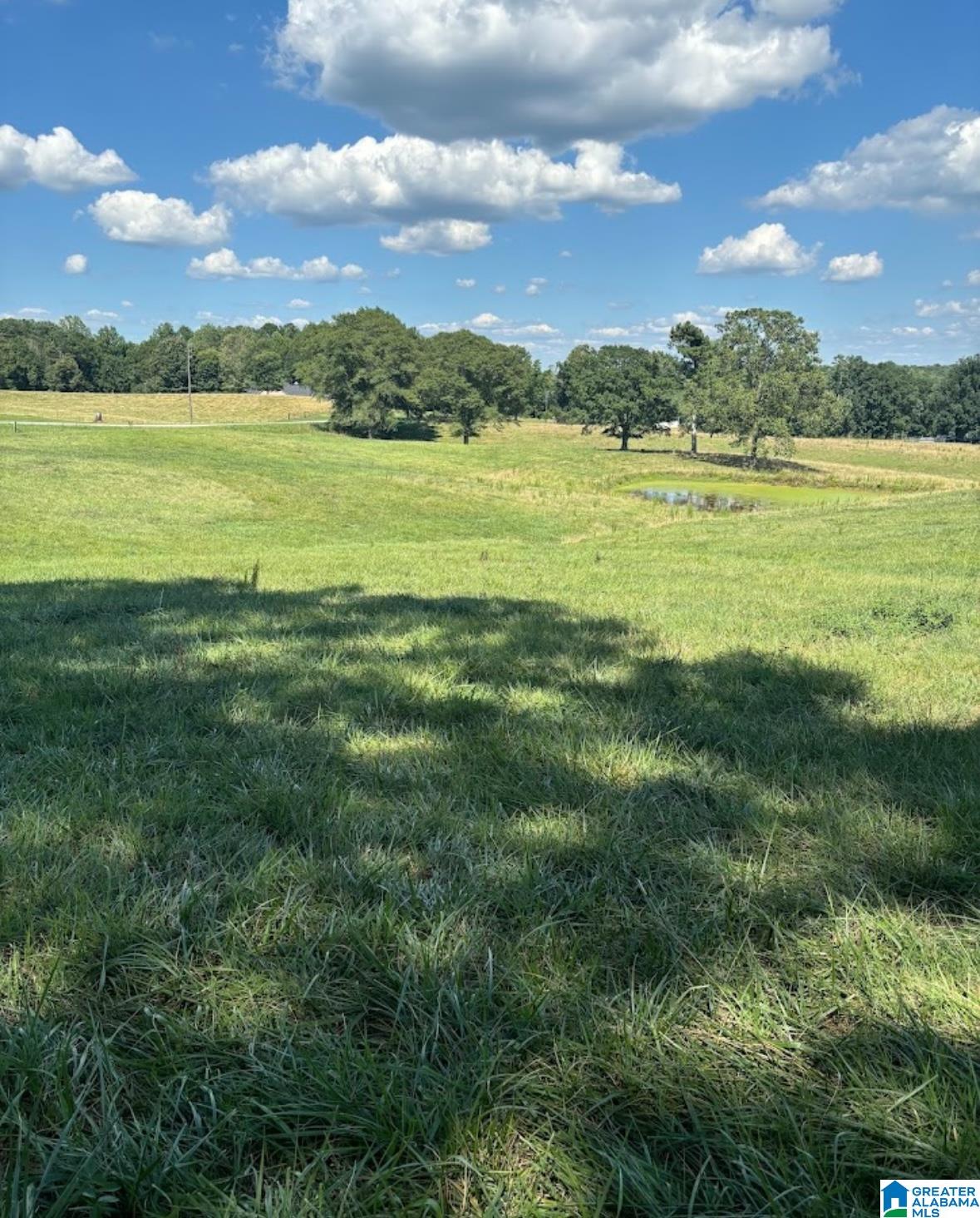 2102 County Road 609 Wedowee, AL 36278 - Photo 32 of 63