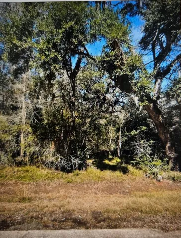 $30,000 | 212 Middle Bayou Trail, Angleton, TX 77515