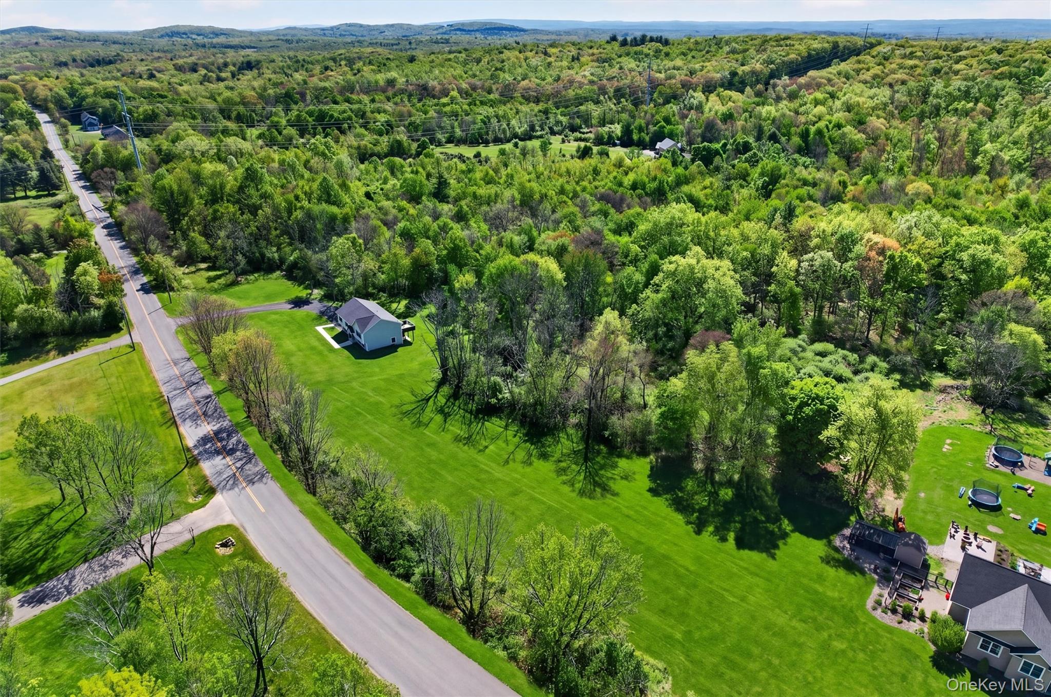 153 Ridge Drive Middletown, NY 10940 - Photo 6 of 47 a view of a yard with plants