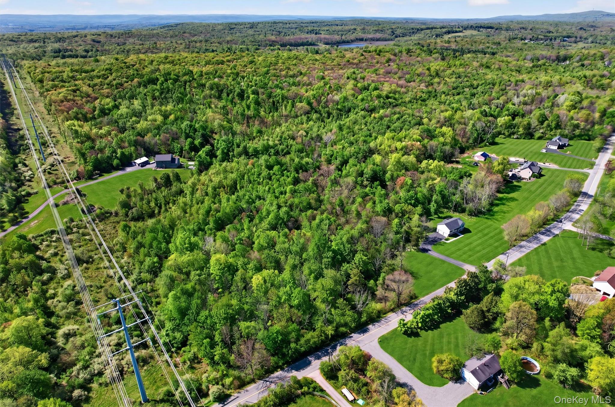 153 Ridge Drive Middletown, NY 10940 - Photo 7 of 47 a view of a lush green field