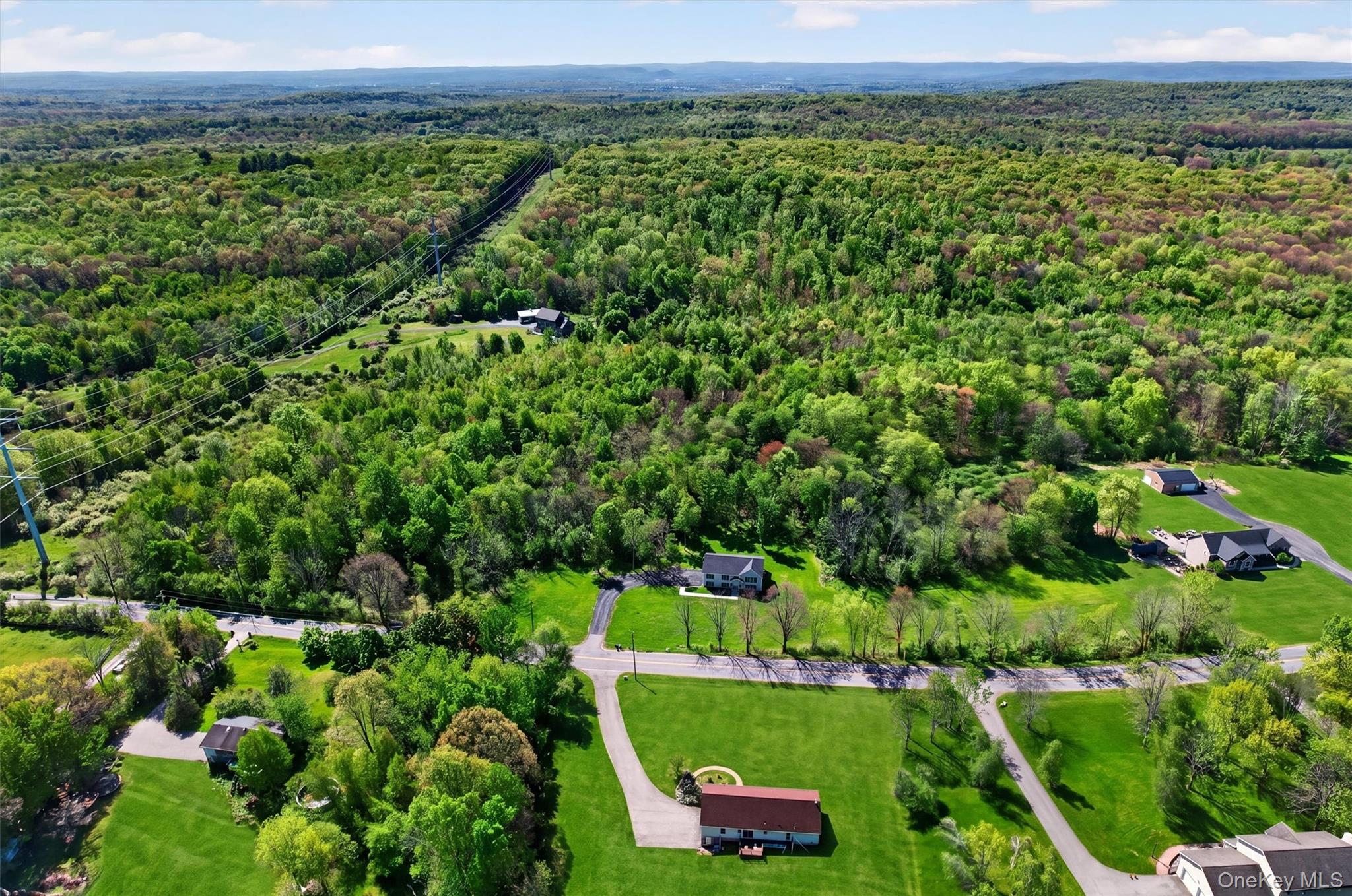 153 Ridge Drive Middletown, NY 10940 - Photo 8 of 47 a view of a lush green forest with lots of trees