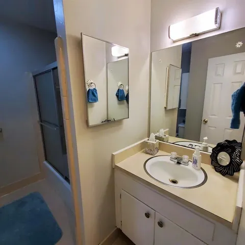 a bathroom with a sink and a mirror