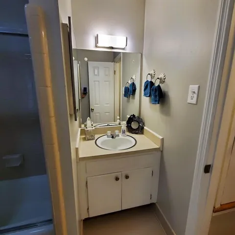 a bathroom with a sink and a mirror