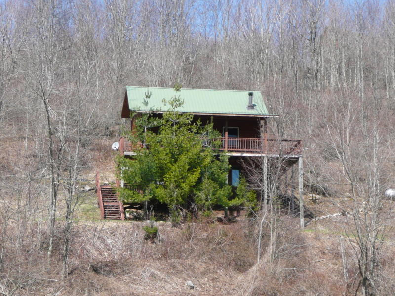 Hemlock Hickory Hill Road Slatyfork, WV 26291 - Photo 19 of 29 Gallery Image 19