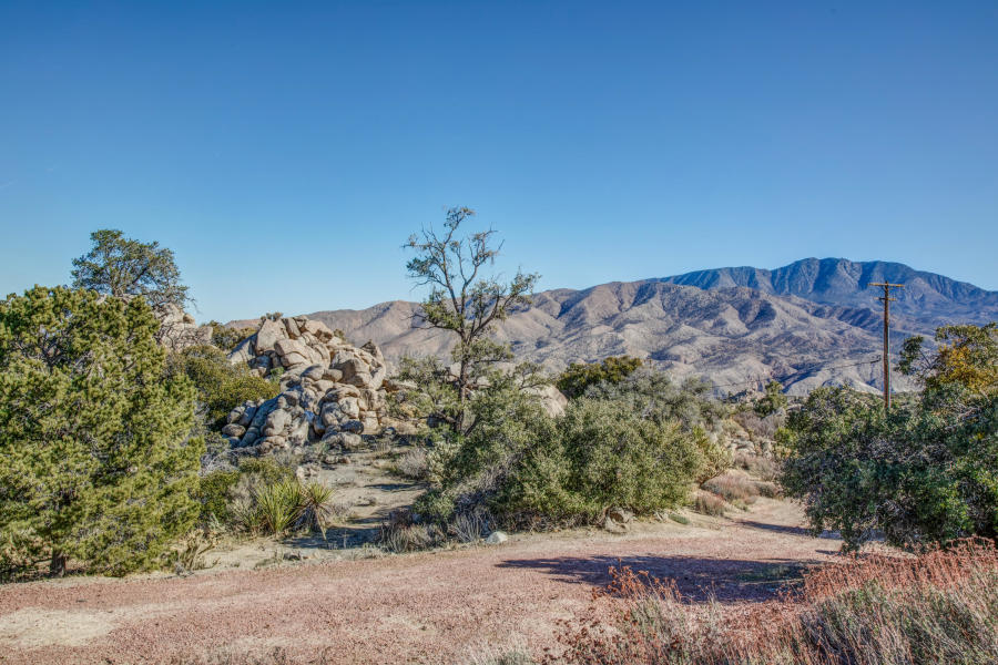 60175 Santa Rosa Road Mountain Center, CA 92561 - Photo 29 of 33 zoe 29