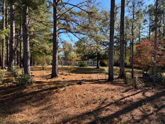 131 Mark Walden Road Blythe, GA 30805 - Photo 2 of 26 Front Street View