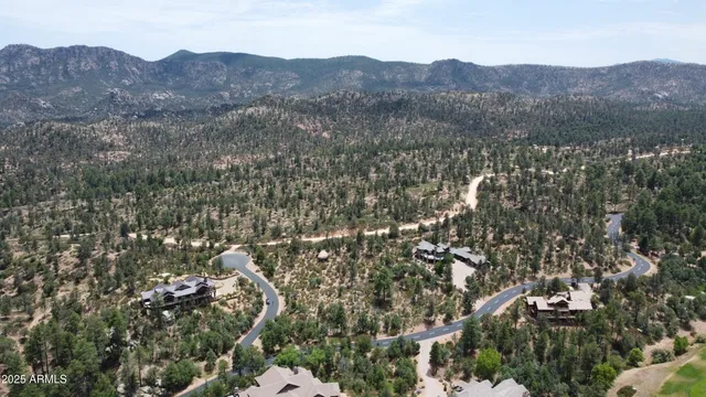 an aerial view of houses covered in trees