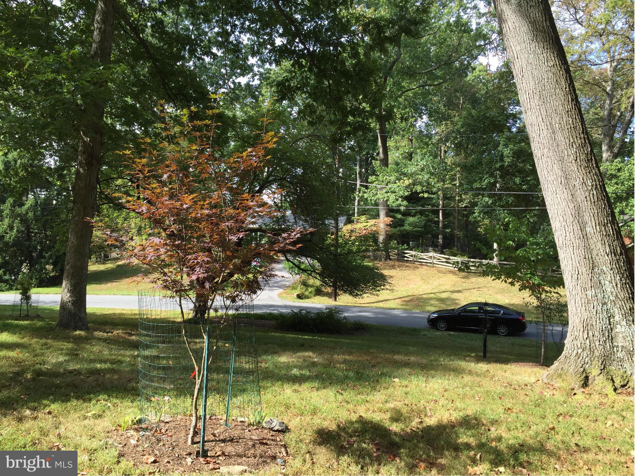 13601 Wendover Road Silver Spring, MD 20904 - Photo 2 of 30 Gorgeous private treed lot