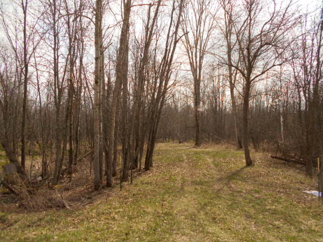Parcel A Parcel A County Road Casco, WI 54205 - Photo 1 of 1