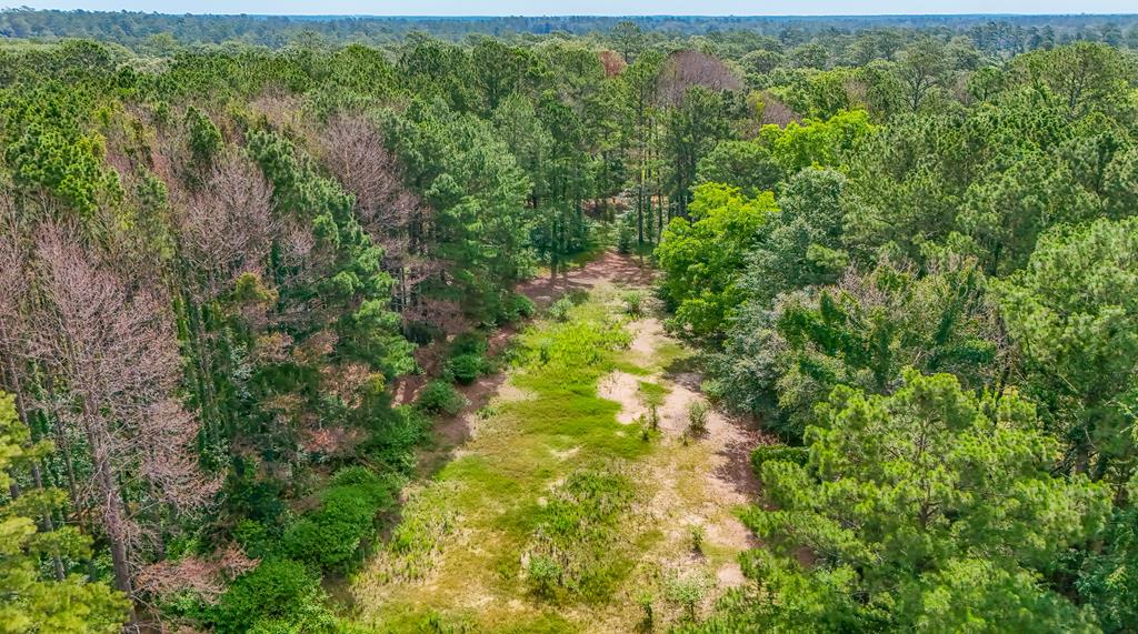 2815 Parker Road Boston, GA 31626 - Photo 64 of 64 Gallery Image 64