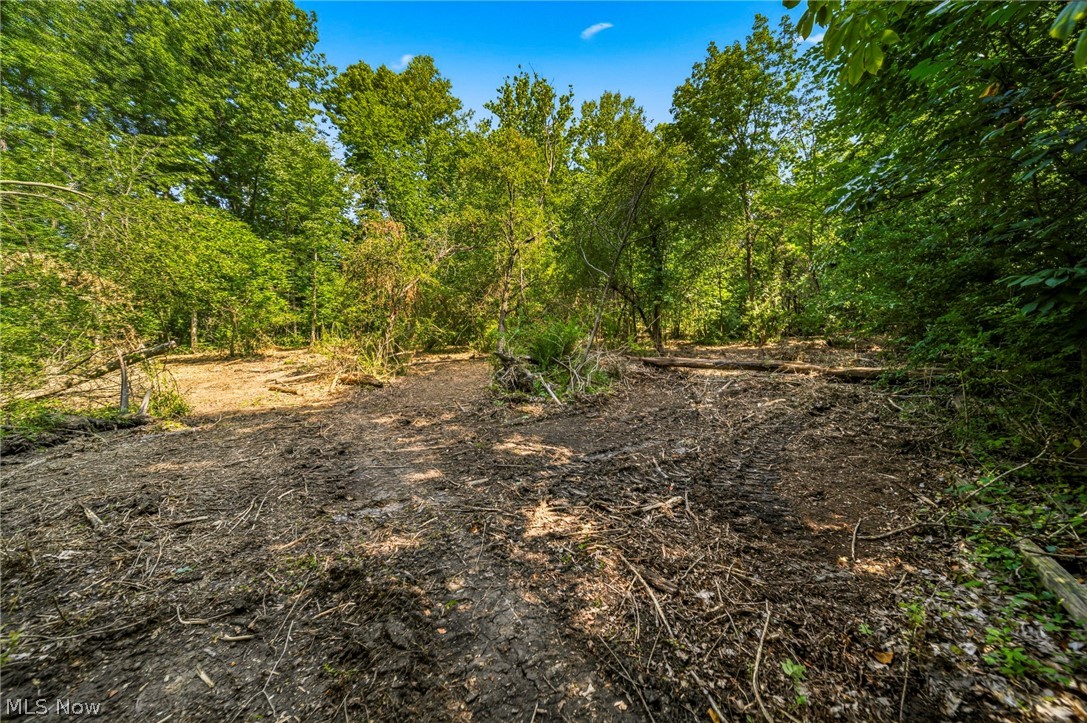 Hanna Road Willoughby, OH 44094 - Photo 10 of 23