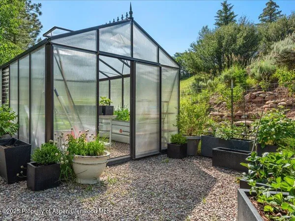 a garden view with a potted plant